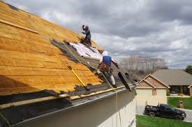 Best Roof Maintenance and Cleaning  in Country Squire Lakes, IN